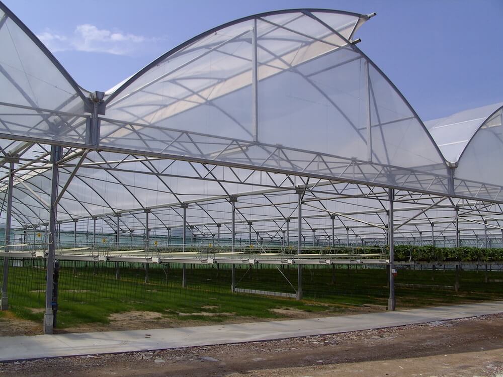 The ZincTech™ Advantage Greenhouse Structure